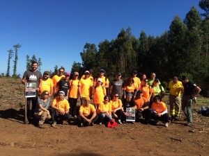 Foto de grupo de los voluntarios que participaron en la actividad medioambiental